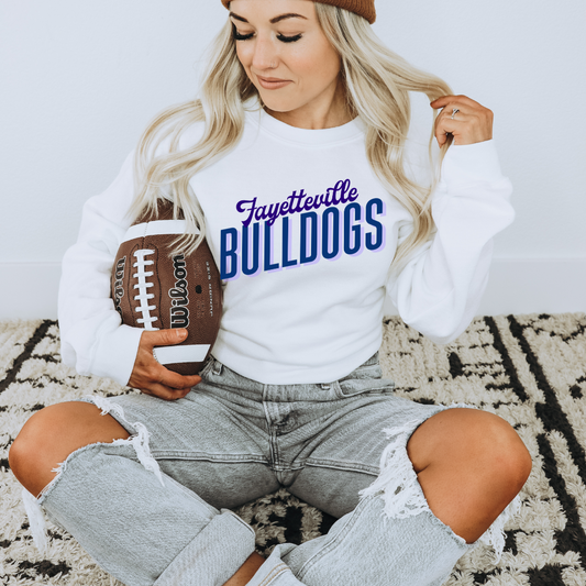 CUSTOM City and Mascot Adult Graphic Crewneck Pullover