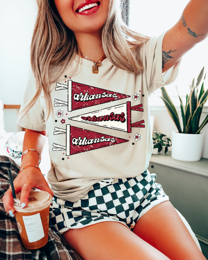 Arkansas Pennants Distressed Adult Graphic T-Shirt