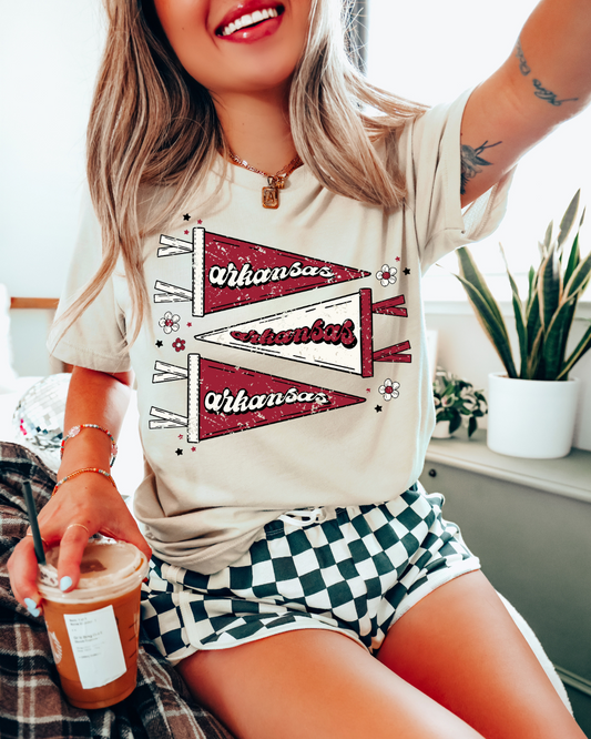 Arkansas Pennants Distressed Adult Graphic T-Shirt