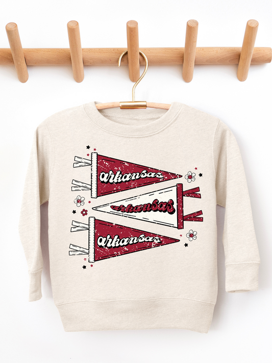 Arkansas Pennant Distressed Toddler Graphic Sweatshirt