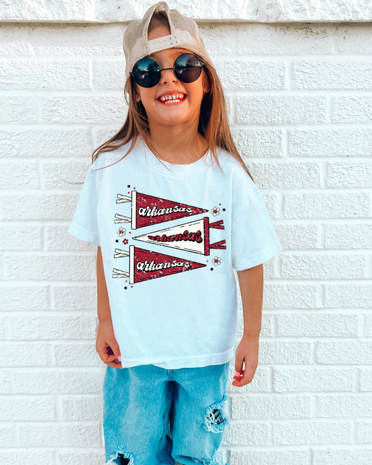 Arkansas Pennant Distressed Youth Graphic Tee
