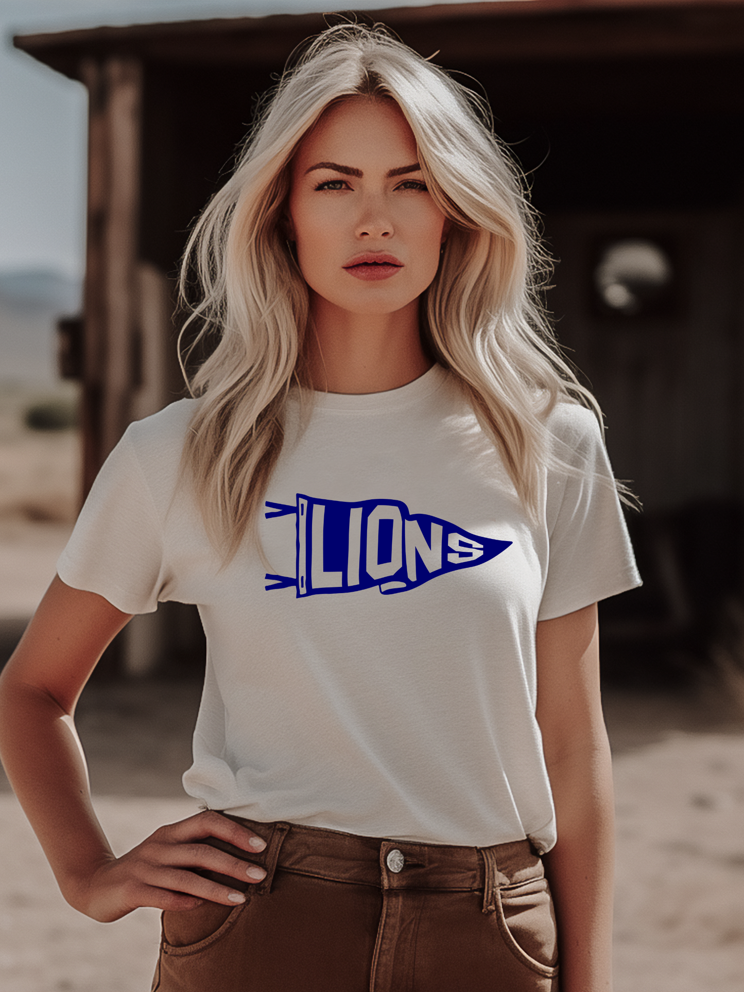 Lions Pennant Detroit NFL Adult Graphic Tee
